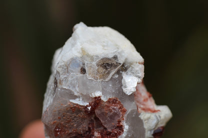 Spessartine Garnets on Quartz w/ Feldspar and Schorl