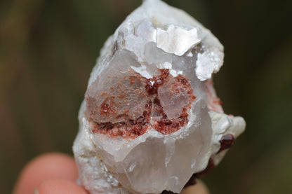 Spessartine Garnets on Quartz w/ Feldspar and Schorl