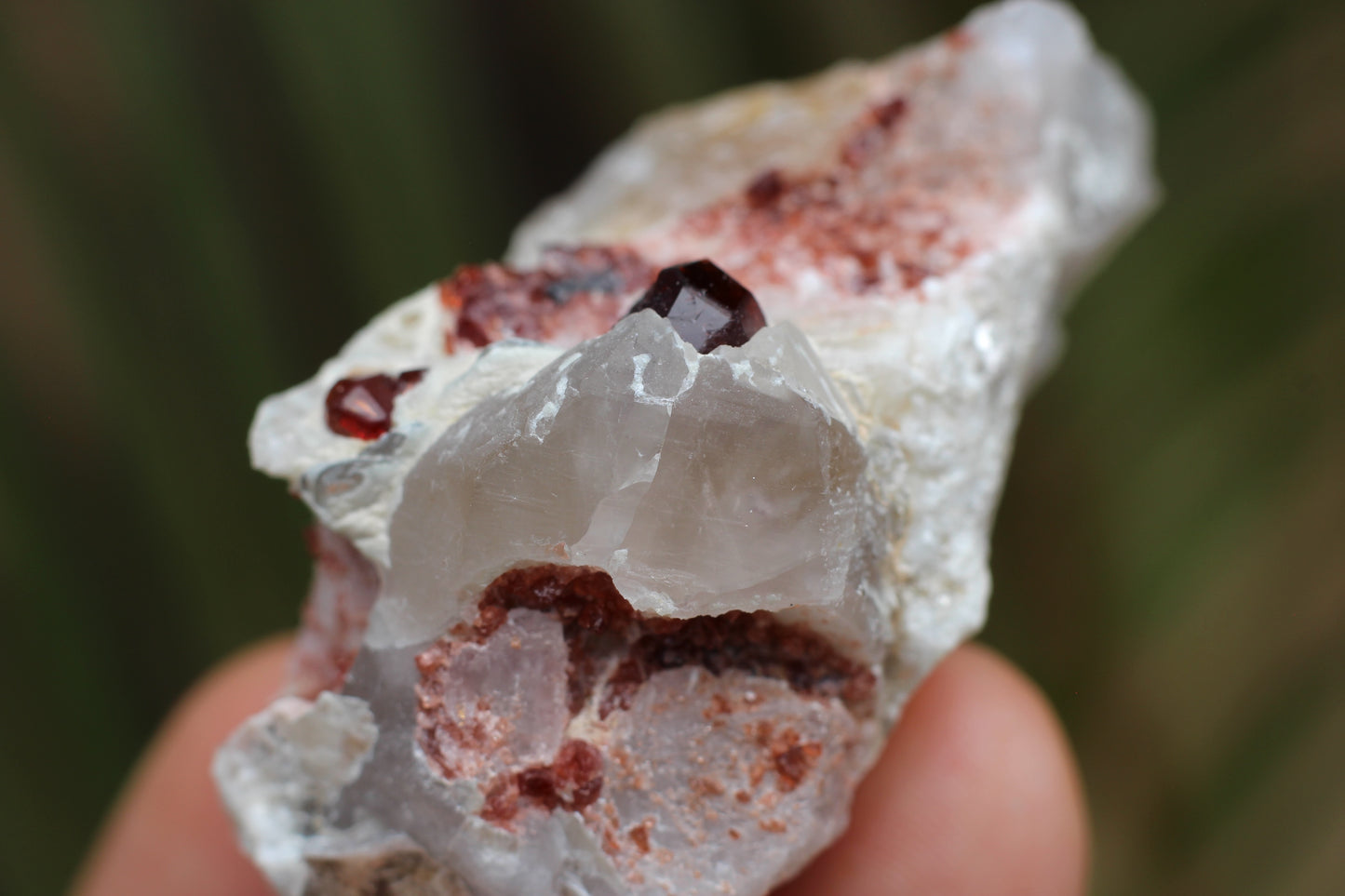 Spessartine Garnets on Quartz w/ Feldspar and Schorl