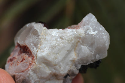 Spessartine Garnets on Quartz w/ Feldspar and Schorl