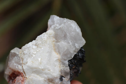 Spessartine Garnets on Quartz w/ Feldspar and Schorl