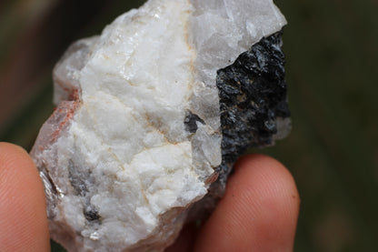 Spessartine Garnets on Quartz w/ Feldspar and Schorl