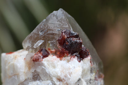 Spessartine Garnets on Quartz w/ Mica, Feldspar and Schorl