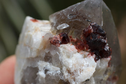 Spessartine Garnets on Quartz w/ Mica, Feldspar and Schorl