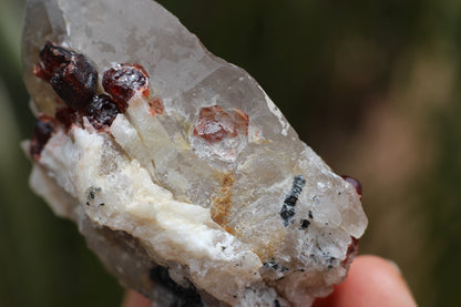 Spessartine Garnets on Quartz w/ Mica, Feldspar and Schorl