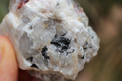 Spessartine Garnets on Quartz w/ Mica, Feldspar and Schorl