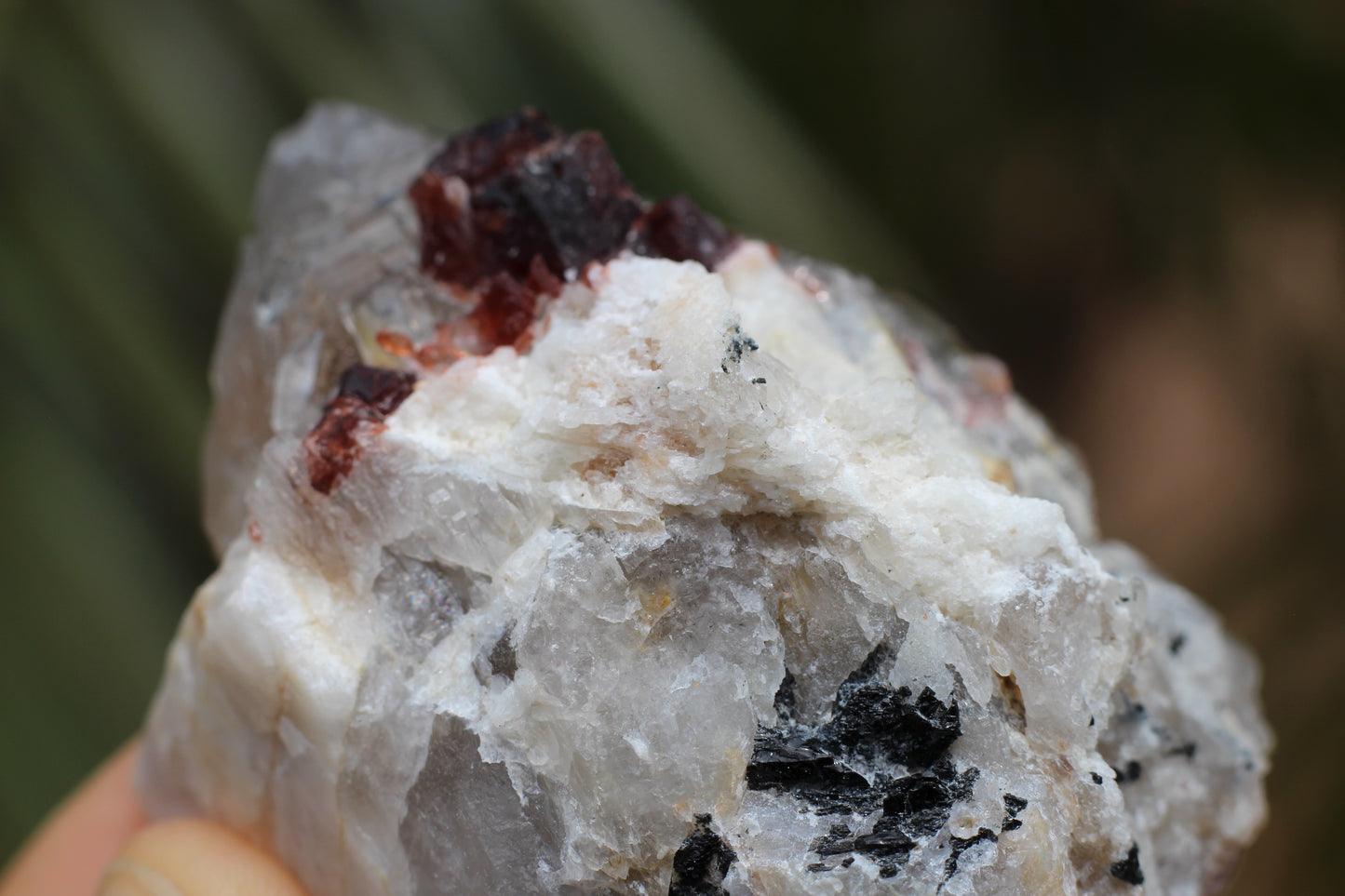 Spessartine Garnets on Quartz w/ Mica, Feldspar and Schorl