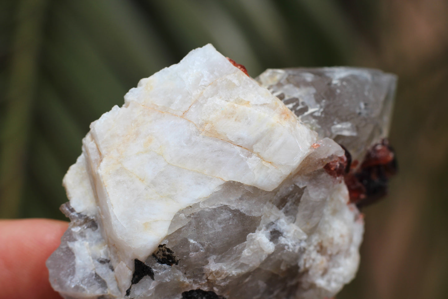 Spessartine Garnets on Quartz w/ Mica, Feldspar and Schorl