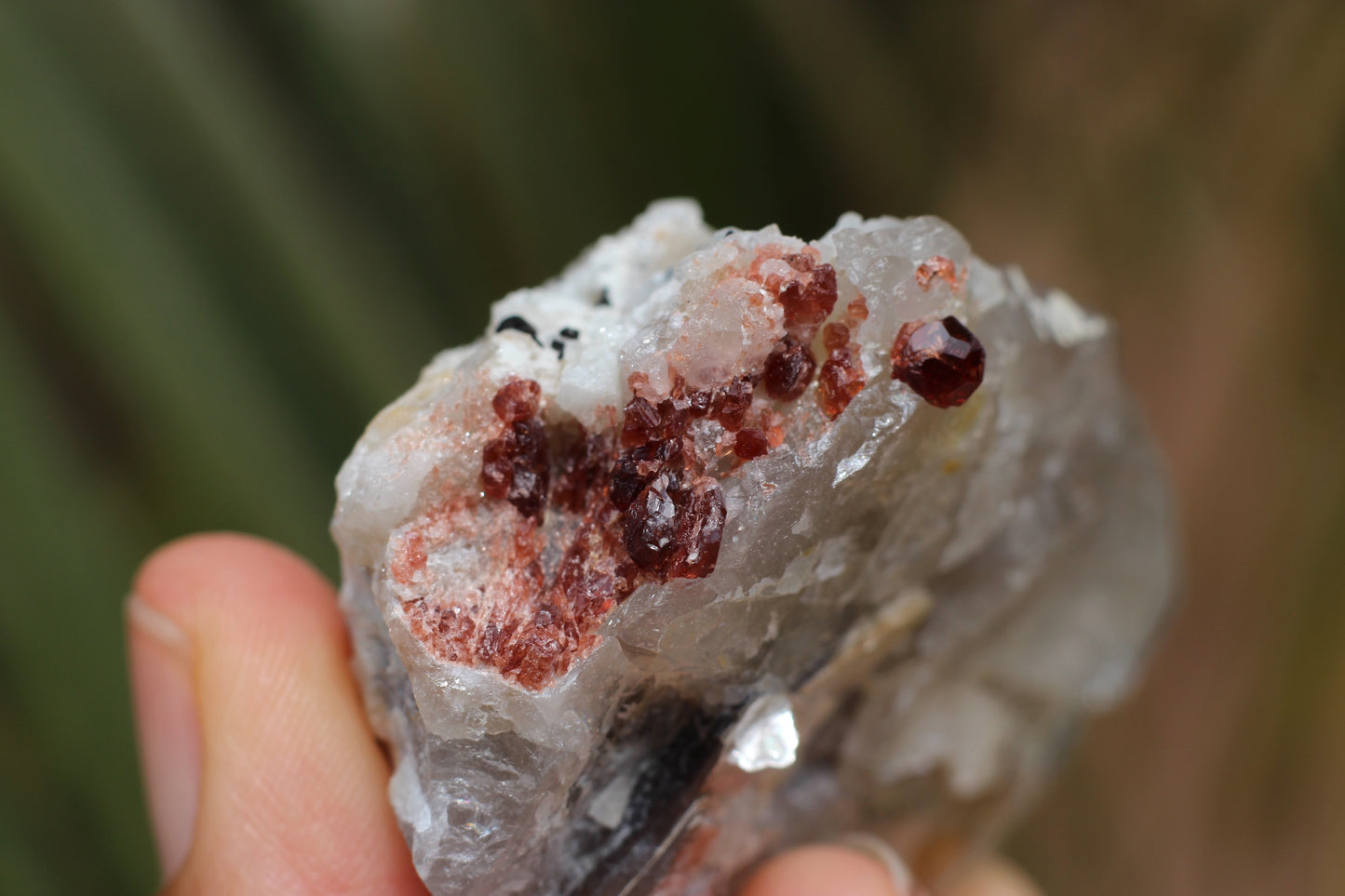 Spessartine Garnets on Quartz w/ Mica, Feldspar and Schorl