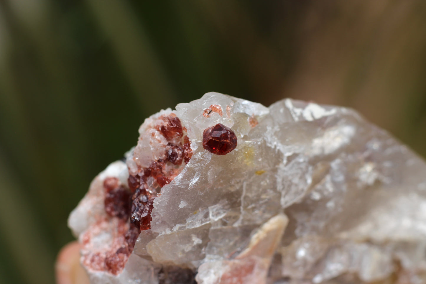 Spessartine Garnets on Quartz w/ Mica, Feldspar and Schorl