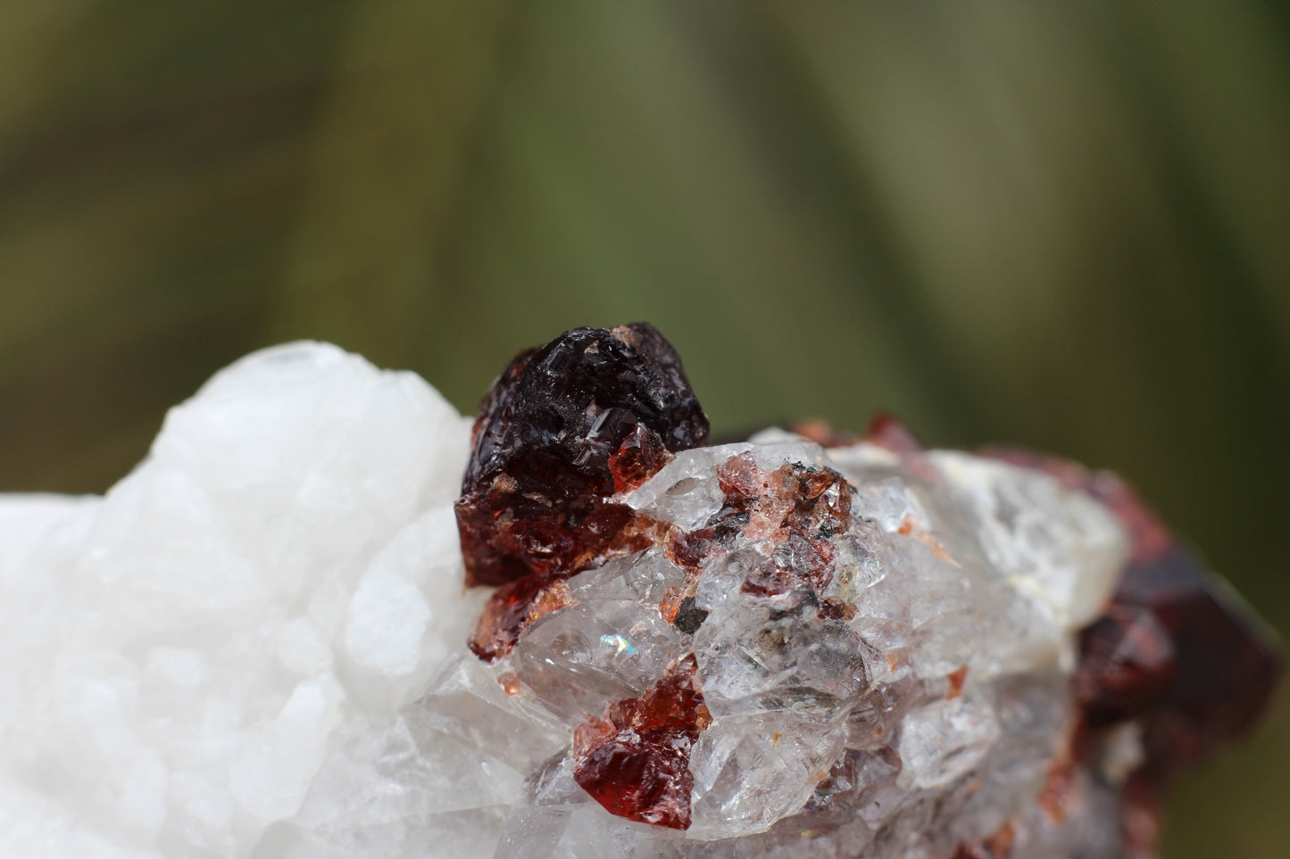 Spessartine Garnet on Quartz w/ Feldspar and Schorl