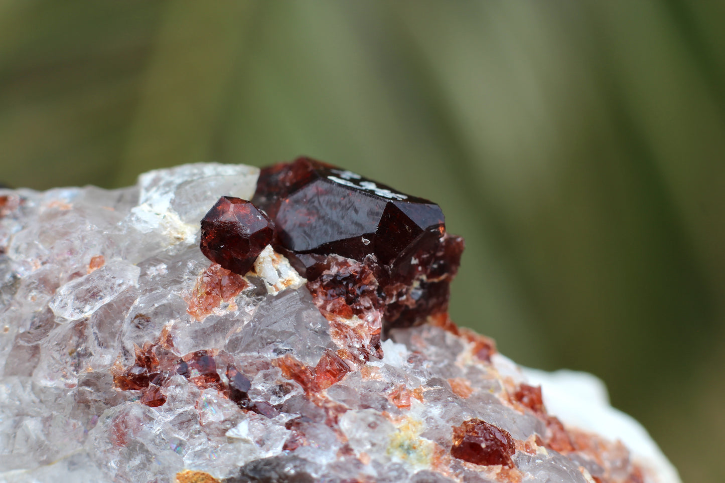 Spessartine Garnet on Quartz w/ Feldspar and Schorl