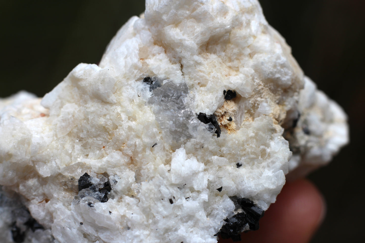 Spessartine Garnet on Feldspar w/ Schorl