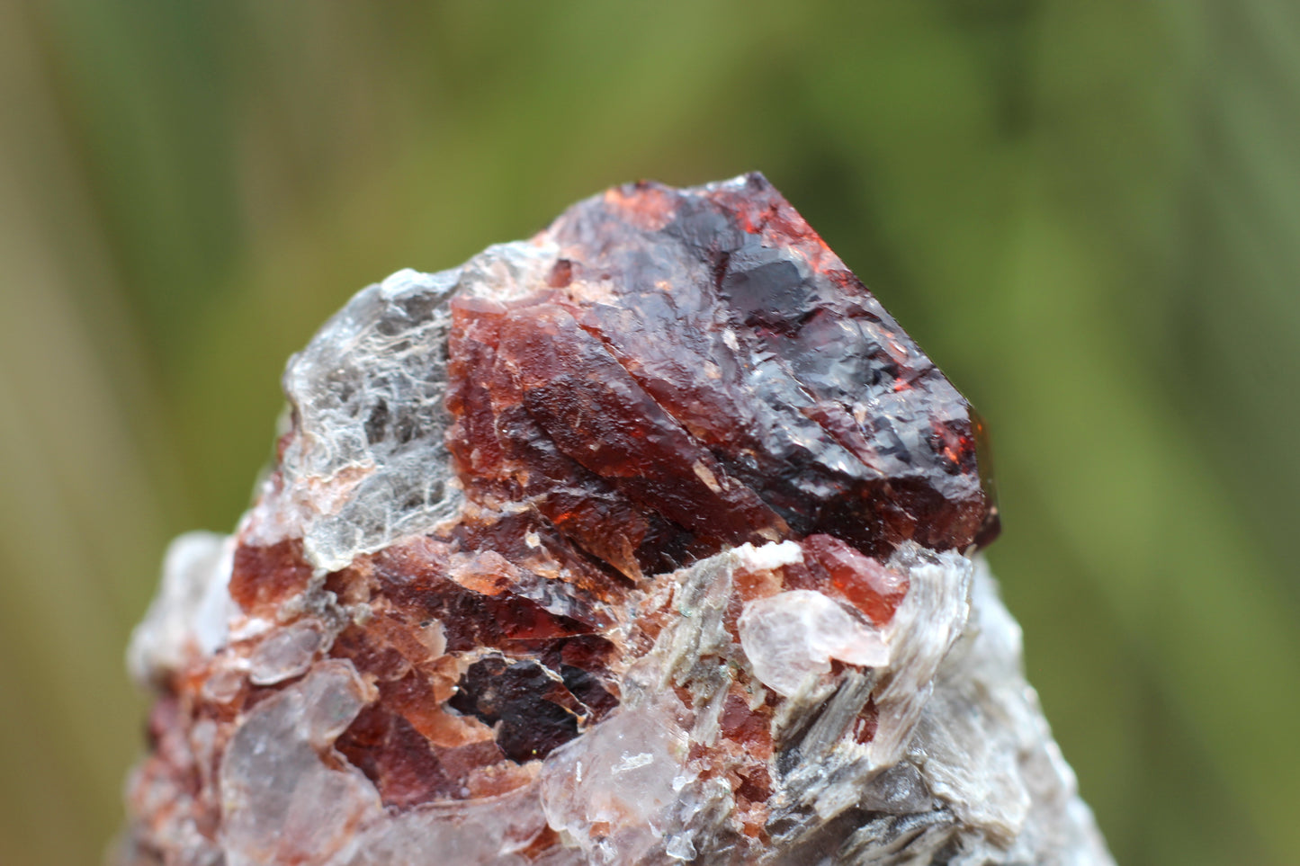 Spessartine Garnets on Quartz w/ Mica