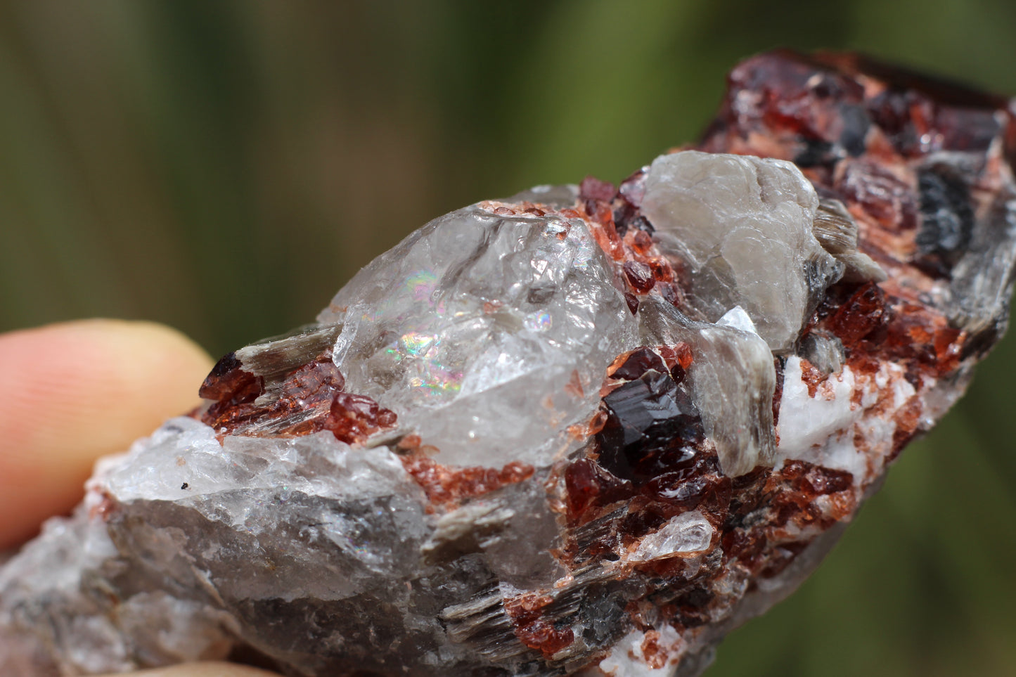 Spessartine Garnets on Quartz w/ Mica