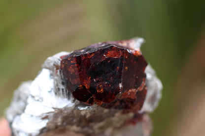 Spessartine Garnets on Quartz w/ Mica