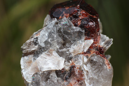 Spessartine Garnets on Quartz w/ Mica