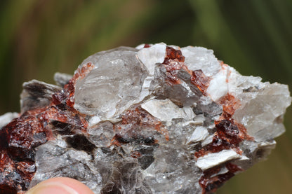 Spessartine Garnets on Quartz w/ Mica