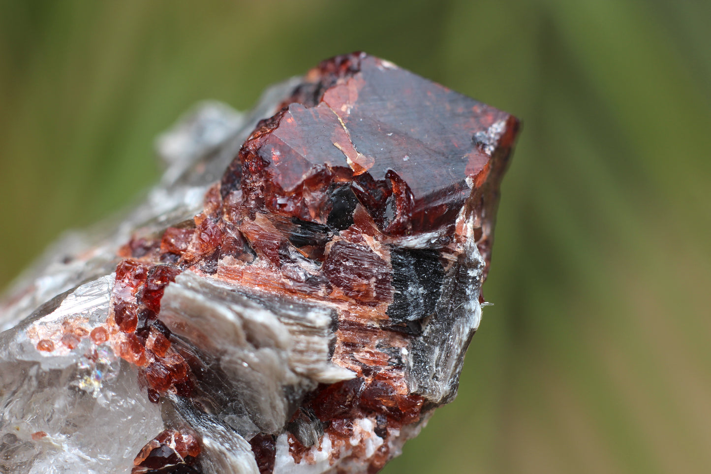 Spessartine Garnets on Quartz w/ Mica