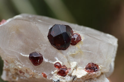 Spessartine Garnets on Quartz w/ Mica and Schorl