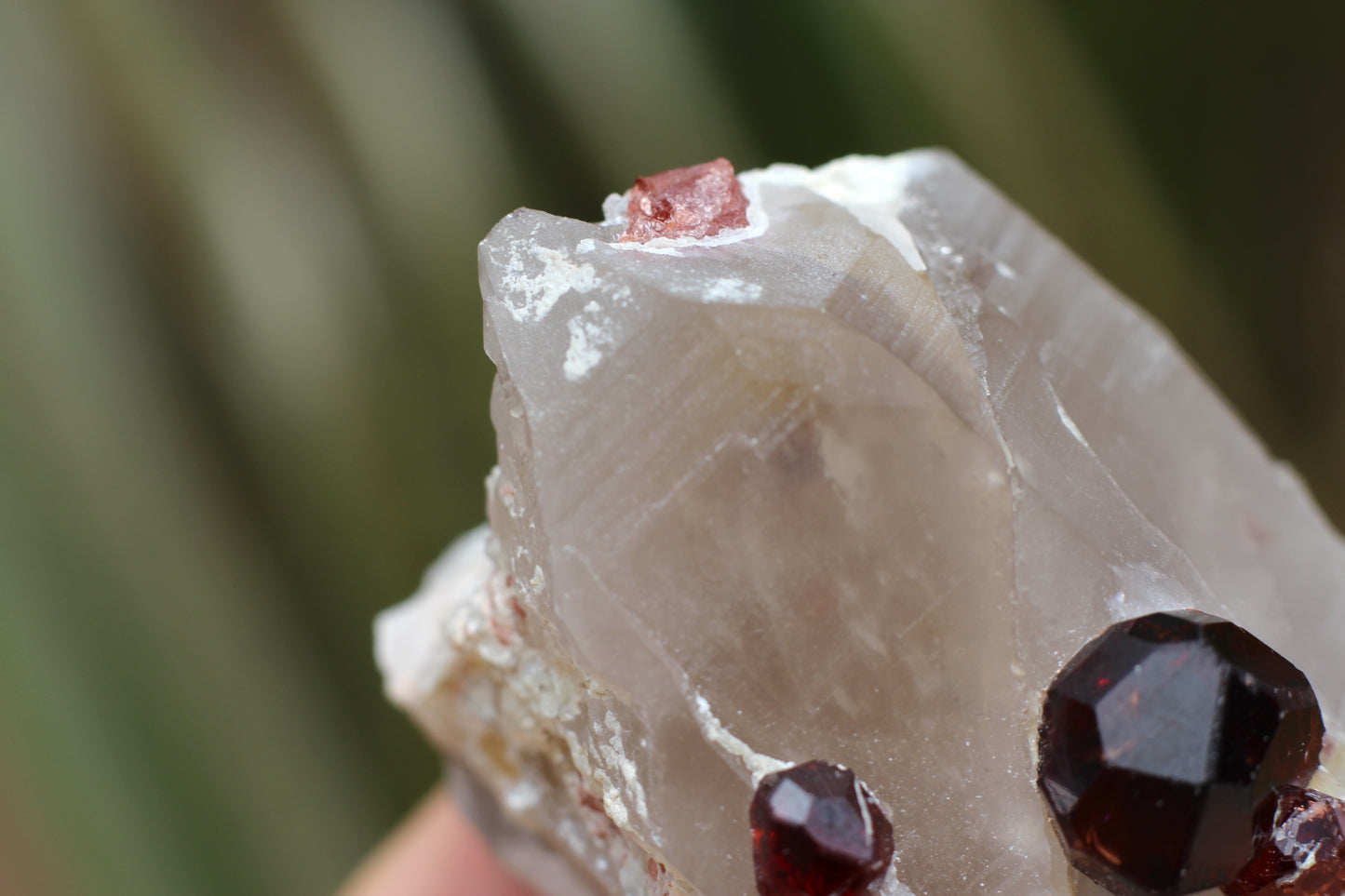 Spessartine Garnets on Quartz w/ Mica and Schorl