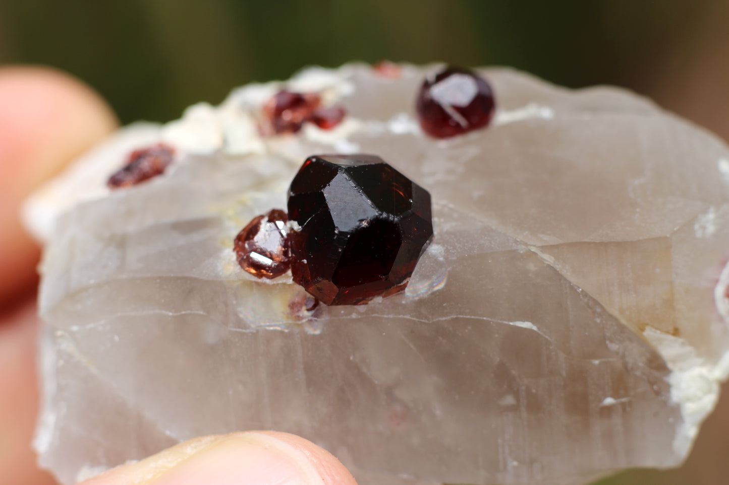 Spessartine Garnets on Quartz w/ Mica and Schorl