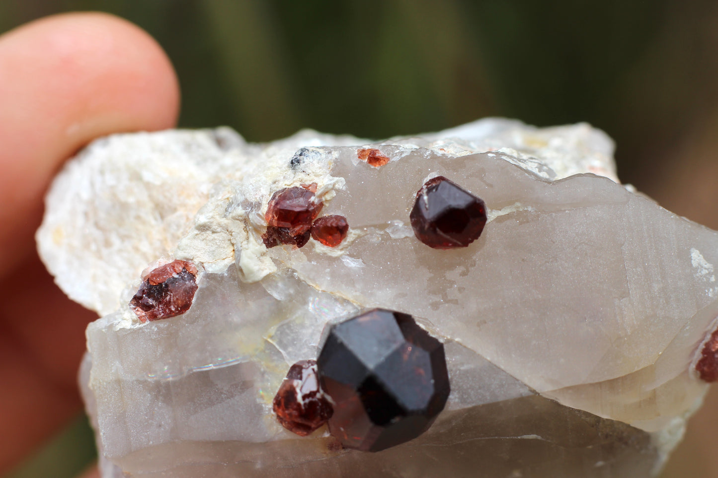 Spessartine Garnets on Quartz w/ Mica and Schorl