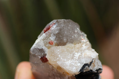 Spessartine Garnets on Quartz w/ Mica and Schorl