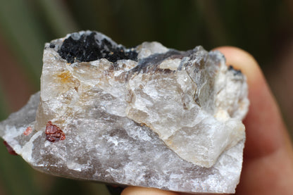 Spessartine Garnets on Quartz w/ Mica and Schorl