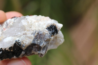 Spessartine Garnets on Quartz w/ Mica and Schorl