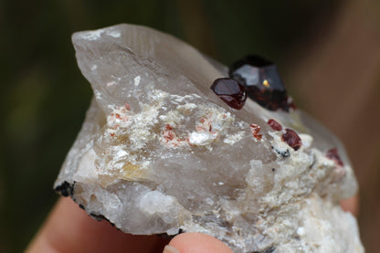 Spessartine Garnets on Quartz w/ Mica and Schorl