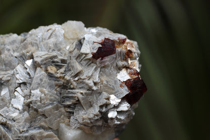 Etched Spessartine Garnet on Feldspar w/ Mica