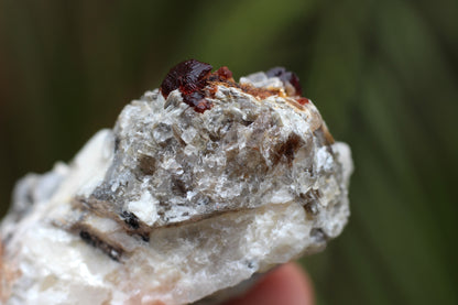 Etched Spessartine Garnet on Feldspar w/ Mica