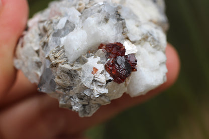 Etched Spessartine Garnet on Feldspar w/ Mica