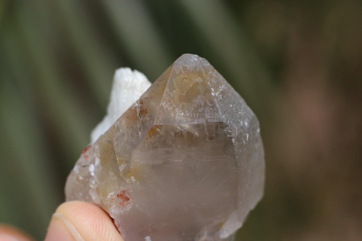 Spessartine Garnets on Quartz w/ Feldspar