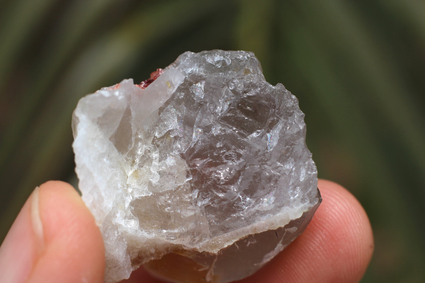 Spessartine Garnets on Quartz w/ Feldspar