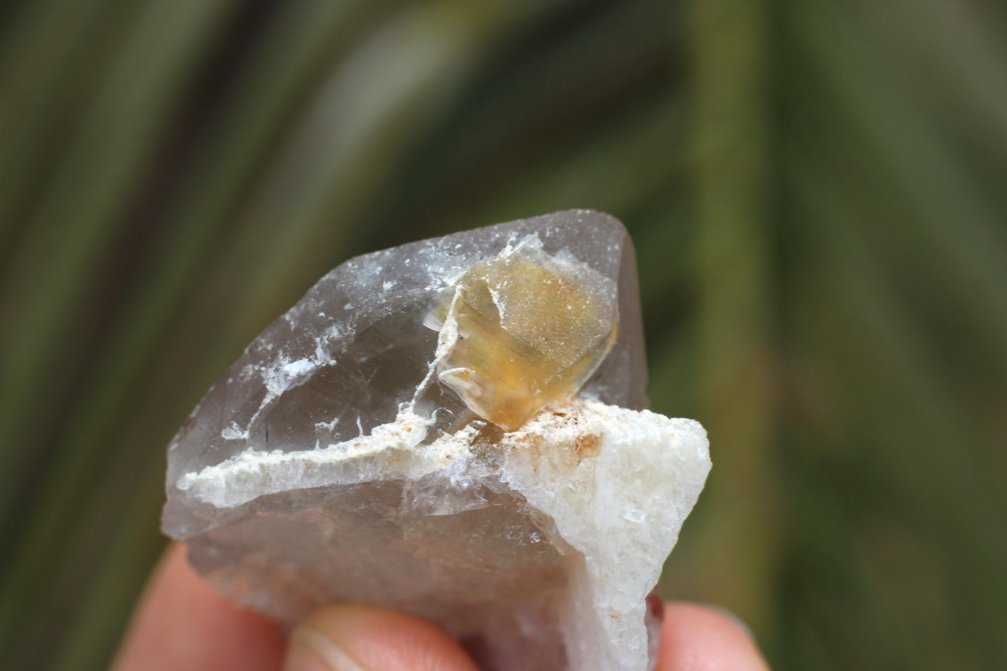 Spessartine Garnets on Quartz w/ Feldspar