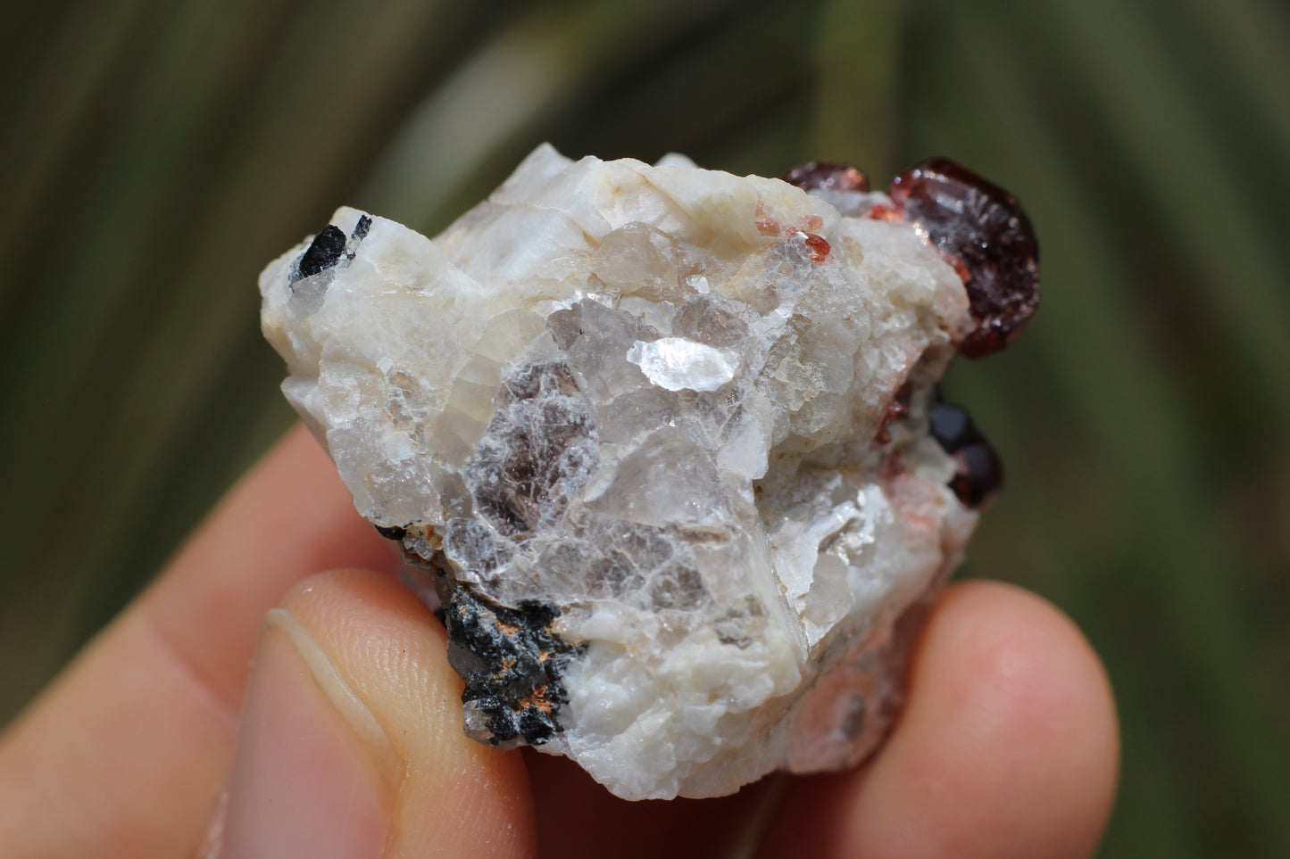 Spessartine Garnets on Quartz w/ Mica, Feldspar and Schorl