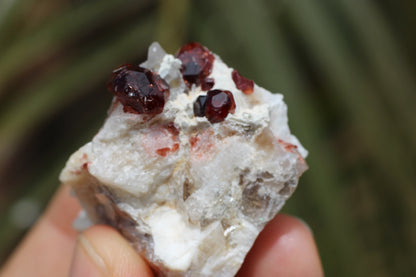 Spessartine Garnets on Quartz w/ Mica, Feldspar and Schorl