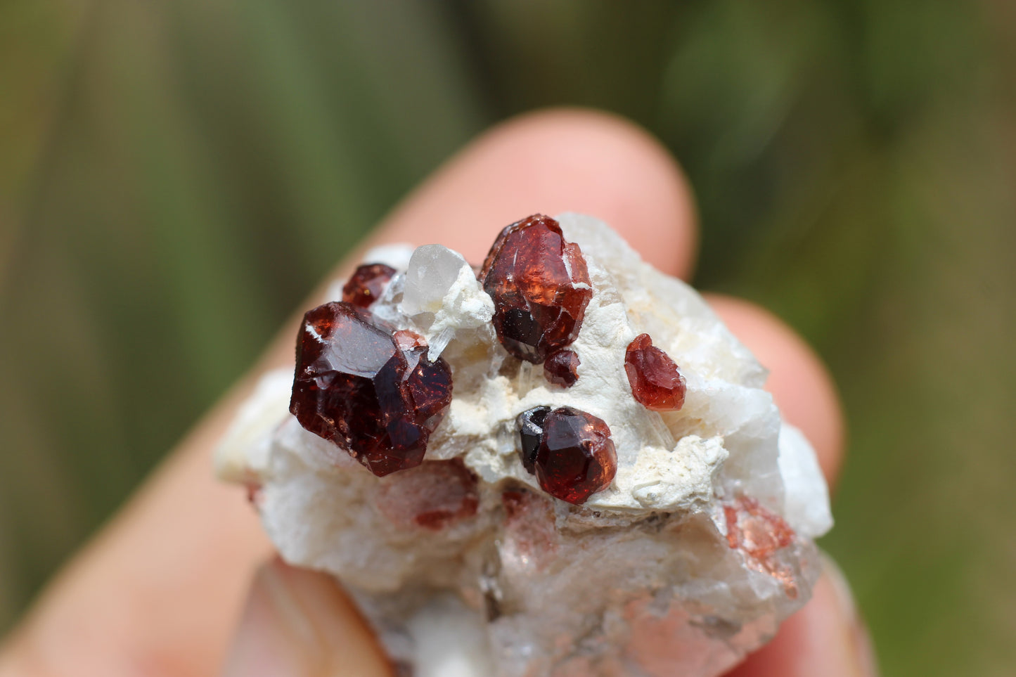 Spessartine Garnets on Quartz w/ Mica, Feldspar and Schorl