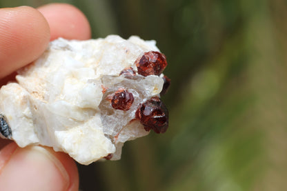 Spessartine Garnets on Quartz w/ Mica, Feldspar and Schorl