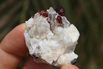 Spessartine Garnets on Quartz w/ Mica, Feldspar and Schorl