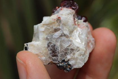 Spessartine Garnets on Quartz w/ Mica, Feldspar and Schorl