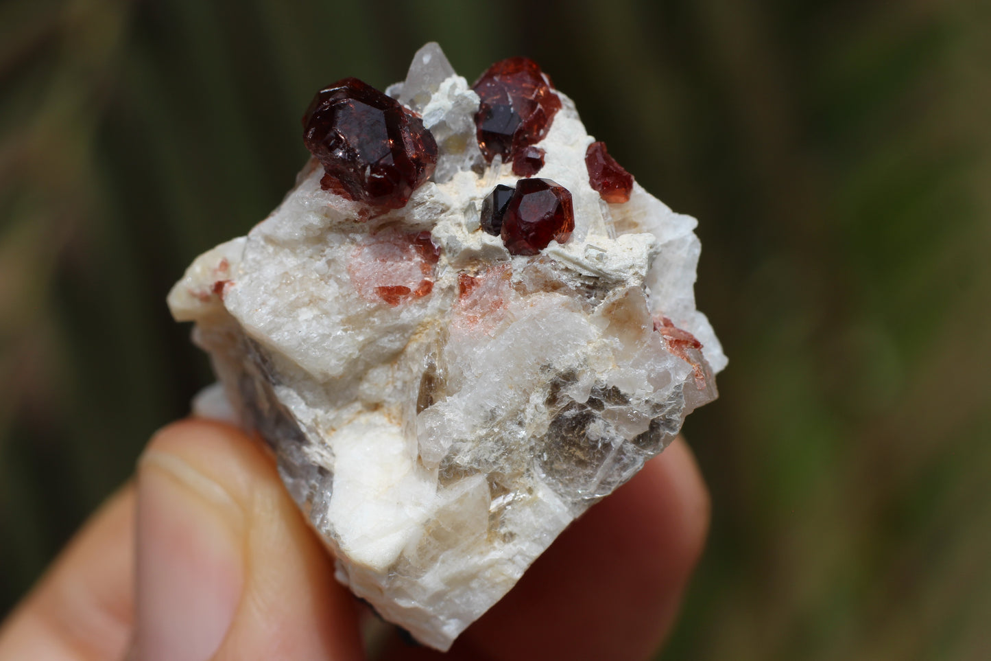 Spessartine Garnets on Quartz w/ Mica, Feldspar and Schorl