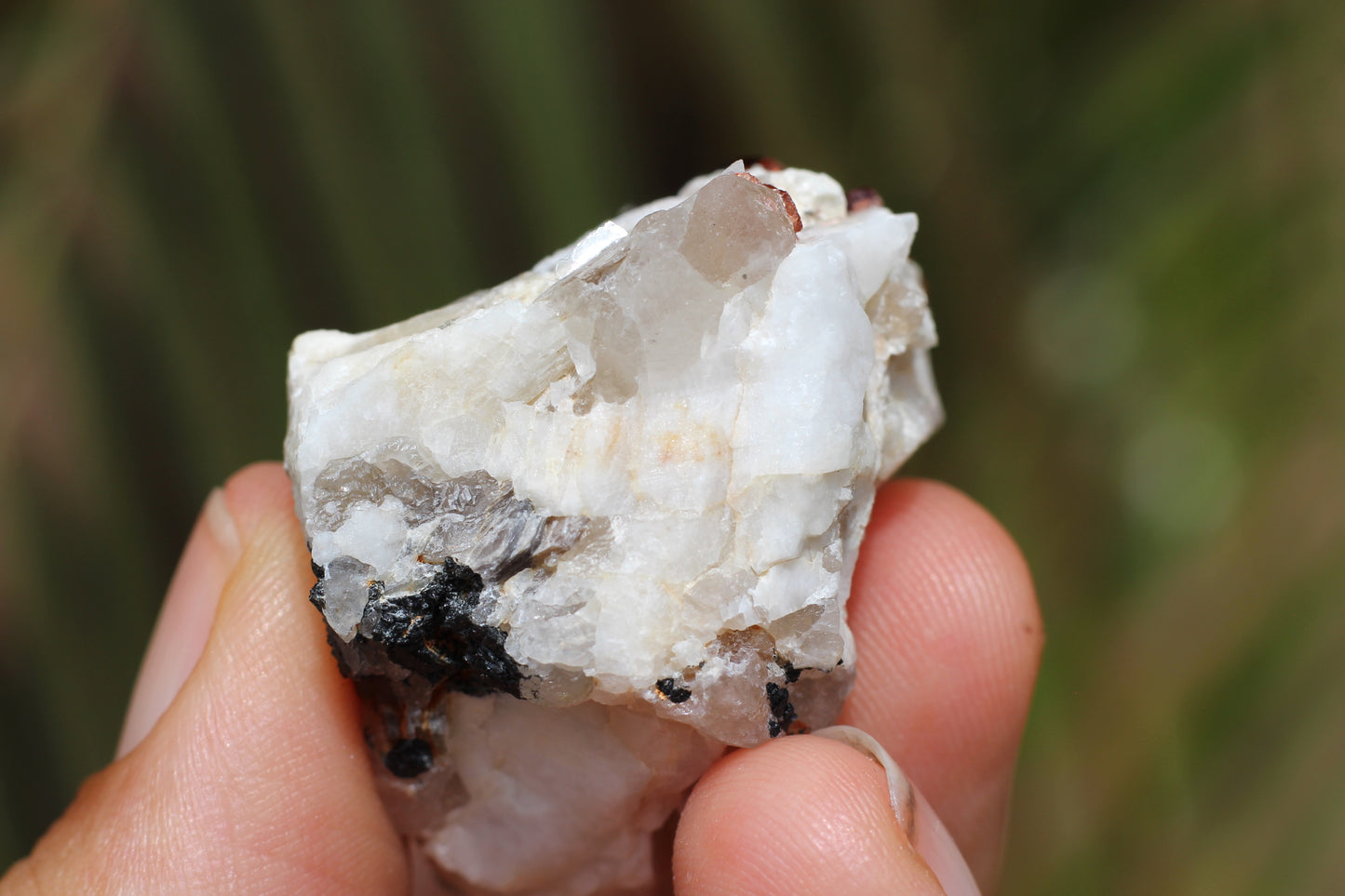 Spessartine Garnets on Quartz w/ Mica, Feldspar and Schorl