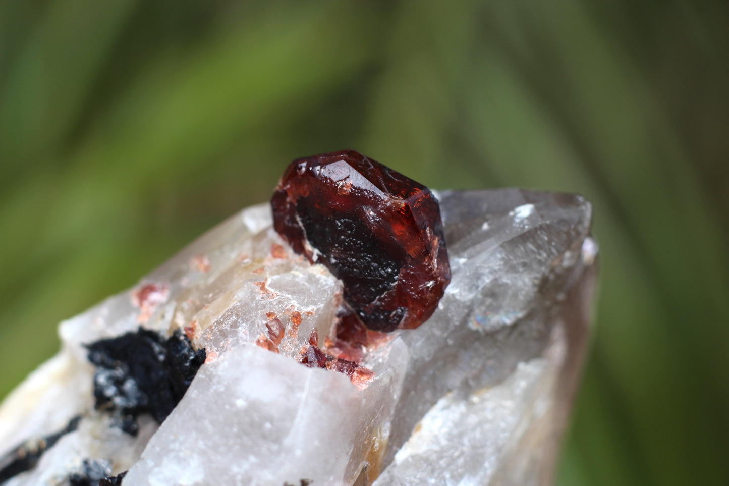 Spessartine Garnet on Quartz w/ Feldspar and Schorl