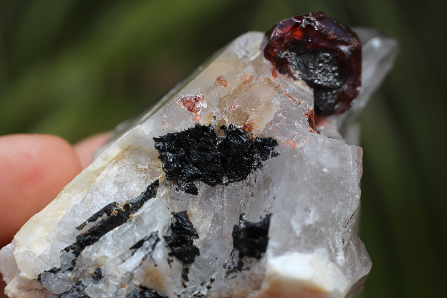 Spessartine Garnet on Quartz w/ Feldspar and Schorl