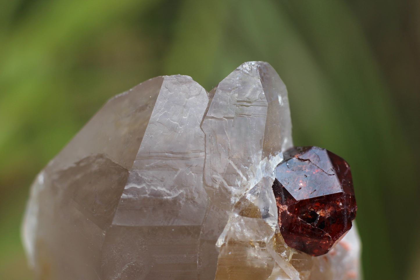 Spessartine Garnet on Quartz w/ Feldspar and Schorl