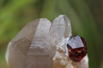 Spessartine Garnet on Quartz w/ Feldspar and Schorl