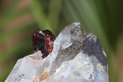 Spessartine Garnet on Quartz w/ Feldspar and Schorl